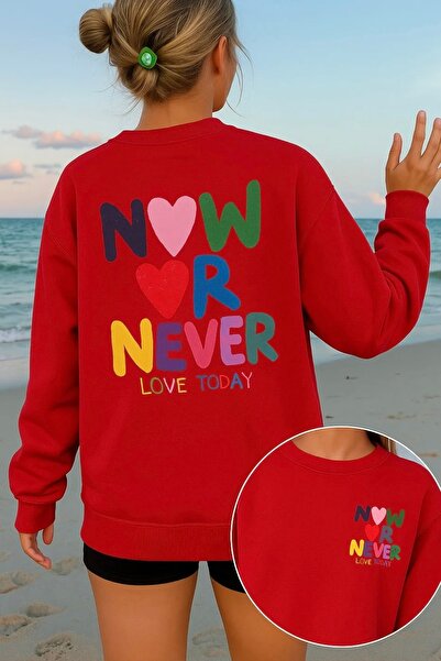 NUDEQUEEN Oversized Printed Thick Puff Sweatshirt B4171