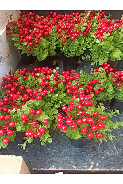 Elioure Kokina yapay çiçek