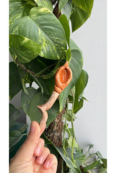 visera Broom-Shaped Ceramic Spoon