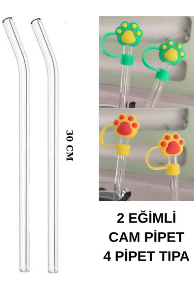 madamini 2 Adet Stanly Quencher Uyumlu Cam Pipet 4 Adet Pipet Ucu Tıpası, 40 ...