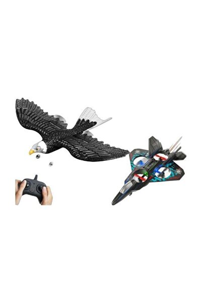 TOY GARDEN Plane and Eagle
