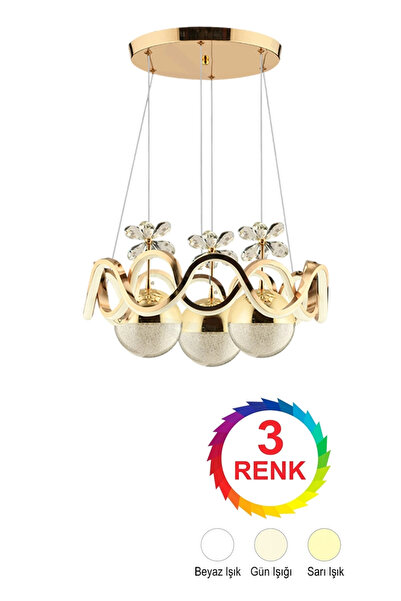 NZL Lighting Alyans Gold Renkli 3'lü Toplu 3 Renk Kumandalı Modern Ledli Avize