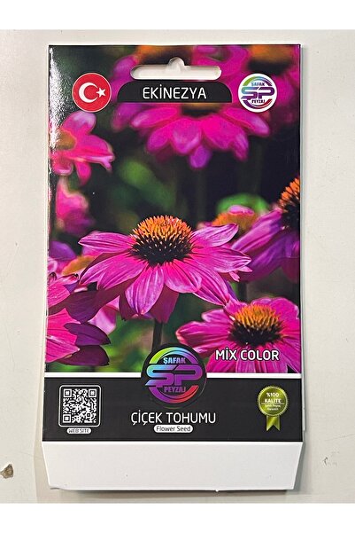 ŞAFAK PEYZAJ TOHUMCULUK Ekinezya Çiçek Tohumu