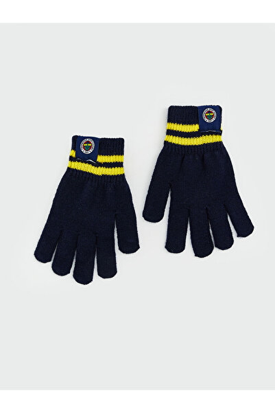 LC Waikiki Quality Parts from Çelebi Store Fenerbahe Embroidered Boys' Gloves