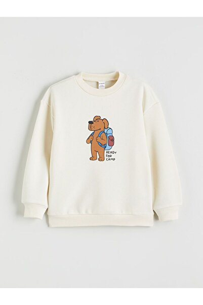 LC Waikiki Lcw Kids Printed Boys' Thick Sweatshirt