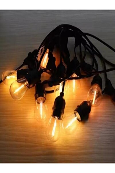 Craciun Ghirlanda luminoasa, 10 becuri 5m