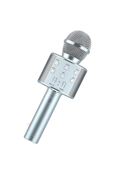 Eliandeco Karaoke Microphone with Wireless Speaker, Noise Reduction, Bluetooth, AUX, SD, USB - Silve