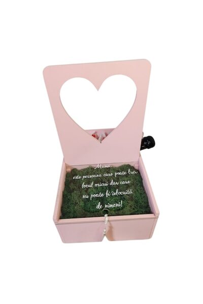 aom Gift box with message for mom with stabilized moss, wine and chocolates, pink