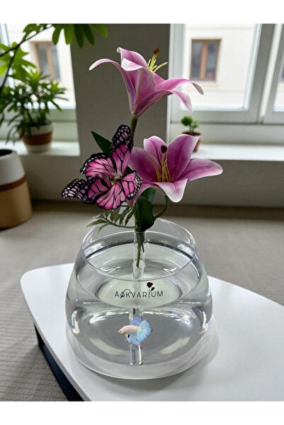 ASKVARIUM Çiçekli Hem Vazo Hem Akvaryum Olarak Kullanılabilen Japon ve Beta B...