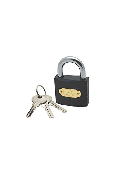 ZS DEMİR Gray Padlock 50 mm