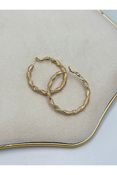 MyladyAccessoriess Twisted Detail Hoop Earrings (Steel)