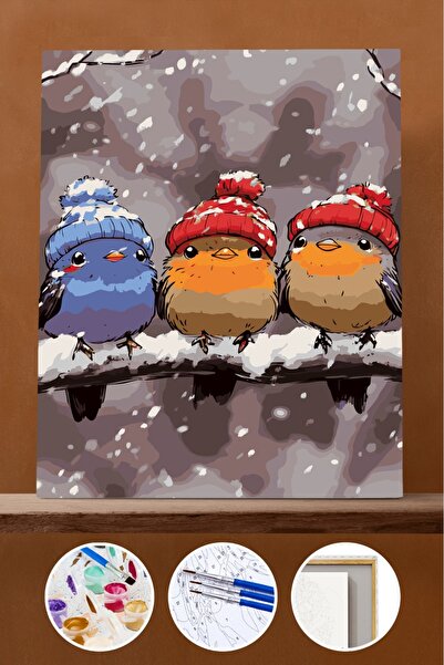 Pastelya Sayılarla Boyama Seti Çerçeveli Kasnaklı Yeni Yıl Kuşları 2 40x50 cm