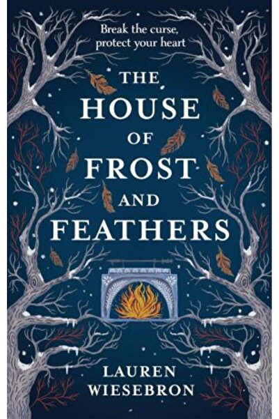 Hodderscape House of Frost and Feathers