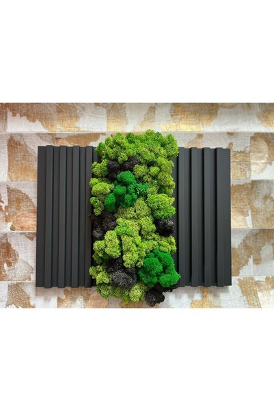 Studio Design Tablou cu licheni si Riflaje