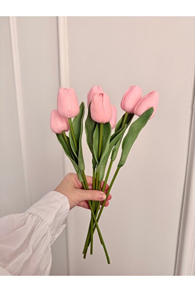 Çiçek 1 Kalite Pembe Islak Lale 8 Adet
