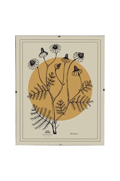 MONDEX Photo Frame 20x25 cm, glass, minimalist elegant design