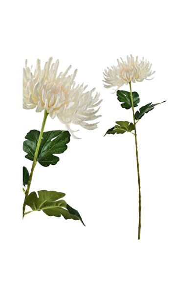 MONDEX Crizantemă artificială VIRIDIS, alb/verde, 70 x 15 cm