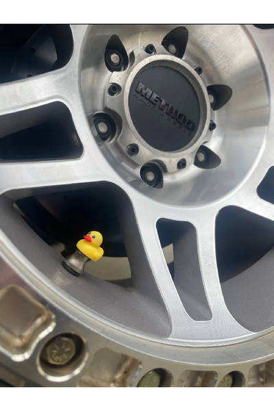 3D Ördek sibob kapağı