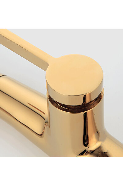 OEM Kitchen faucet with pull-out spray Zena, glossy gold