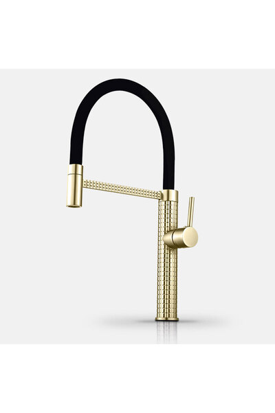 NO BRAND Kitchen faucet with flexible pull-out spray, glossy gold