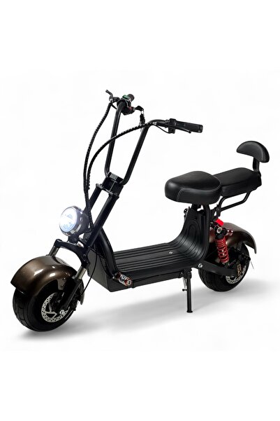 ALBADER Harley Design Electric Scooter 48V, Electric Kick Scooter 1000W Motor, 70 KM/H Max Speed, Wide Wheel