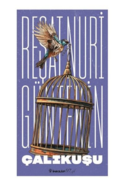 İnkılap Kitabevi Çalıkuşu (Yeni Kapak)