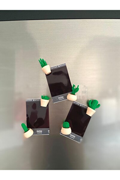 S Decor Buzdolabı Magneti Kaktüs Desenli Set(6'lı)