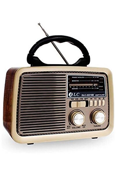 DLC راديو محمول مزود بتقنية البلوتوث وبطاقة SD وUSB وAUX - مكبر صوت FM متعدد ...