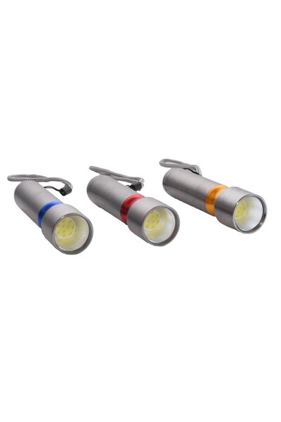 ElectroAZ Silver Flashlight with Cob Led, 3xR3