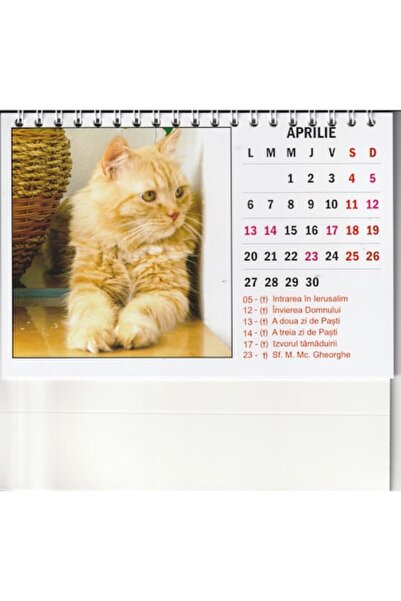 Global Desk calendar with cats, 12 sheets, Intermed