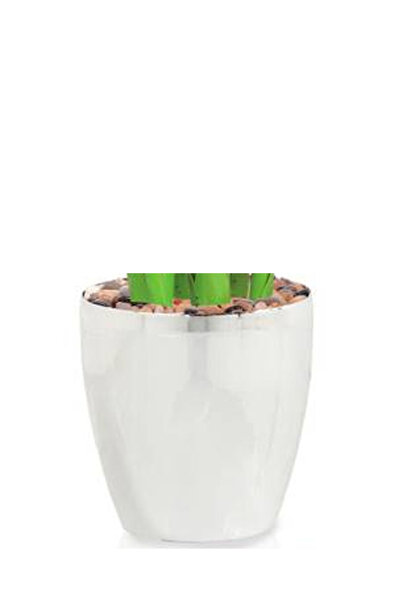 Generic Artificial banana tree (175 cm tall) in a plastic pot