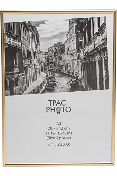 Hampton Frames ملصق شهادة BACKLOADER إطار صورة أكريليك (غير زجاجي) ذهبي A3 (2...