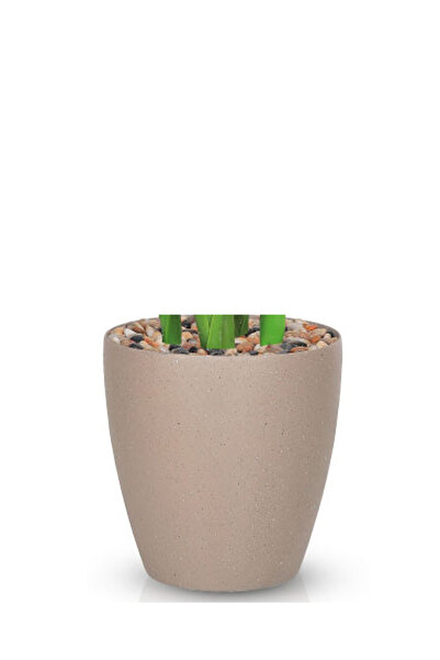 Generic Artificial banana leaf tree (180 cm tall) in a plastic pot