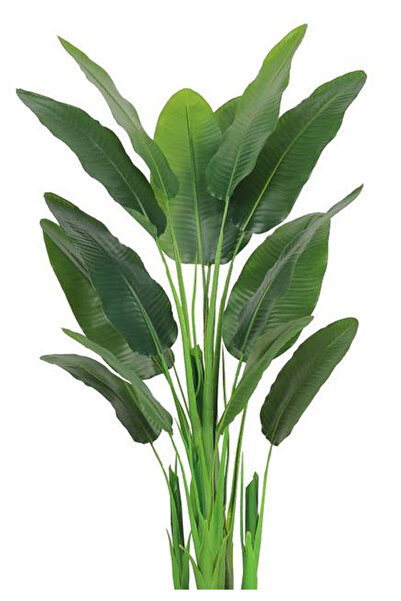 Generic Artificial banana leaf tree (180 cm tall) in a plastic pot