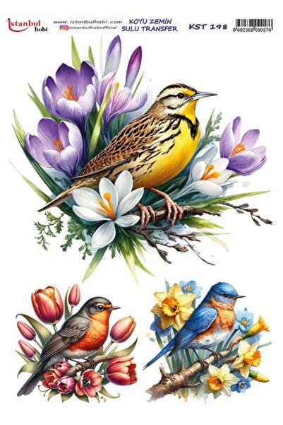 İstanbul Hobi Dark Background Water Transfer Paper 25X35Cm Kst-198