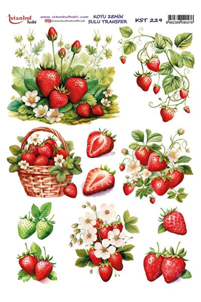 İstanbul Hobi ورق نقل مائي للأرضيات الداكنة 25x35 سم KST-229