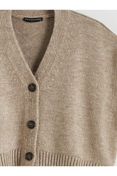 LC Waikiki Lcwaikiki Classic V-Neck Oversized Women's Knitwear Vest