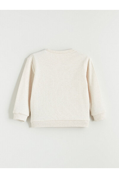 LC Waikiki Özmarka New Season Crew Neck Boys' Sweatshirt 2-Pack