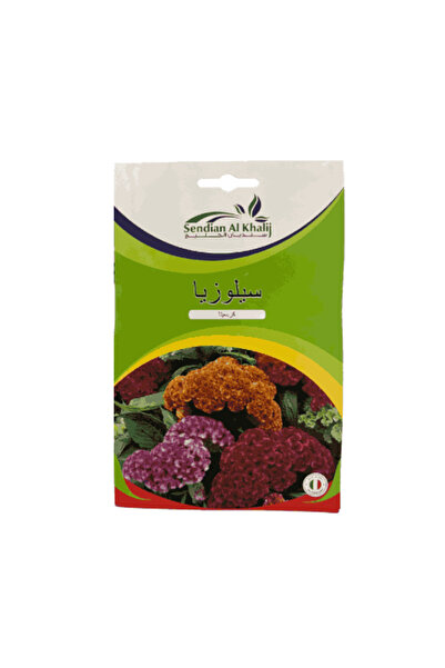 alatar بذور زهرة سيلوسيا