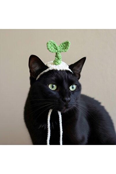 yucin Cat Hat |   Cute Design Cat Headgear Accessory |   Photo Shoot & Gift Pet Beanie