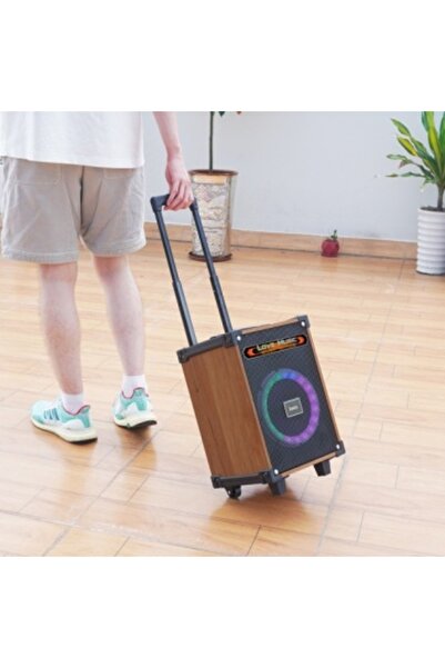 OEM Outdoor speaker, portable, 2 microphones, 4500mAh, TF Card, USB, AUX and TWS, 40W+5W, Black