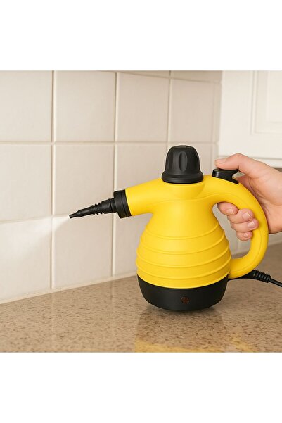 OEM Aparat de curățat cu abur portabil 1000W