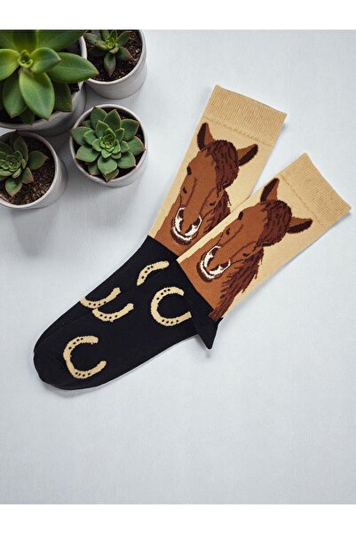 GSocks Kahverengi At Desenli Renkli Çorap