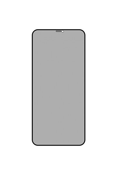 Apple Folie de protectie Ecran Privacy OEM OG Premium pentru iPhone 12 / 12 P...