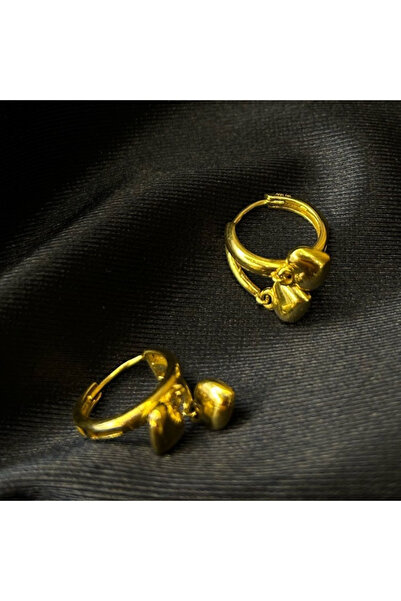 Arpaş 14 Ayar Kalp Detaylı Halka Küpe