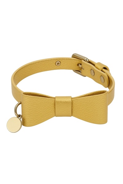Charlotte's Dress Donald Dog Collar - 25 cm - Gold Lame