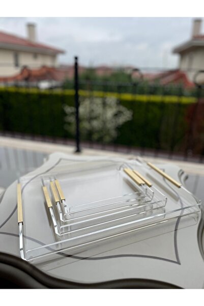 Ertürk maison TEK KİŞİLİK PİRİNÇ DETAY PLEKSİ TEPSİ