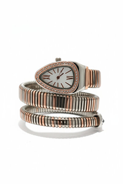 Goldwatches Snake Bracelet Watch |   Rose Gold Silver Color Women Wrist Watch |   Special Design Zircon Stone