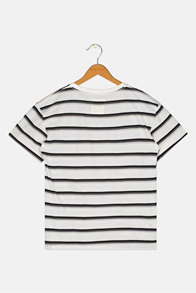 Levi's Kids Boy Crew Neck Stripe Short Sleeves T-Shirt, Multicolor