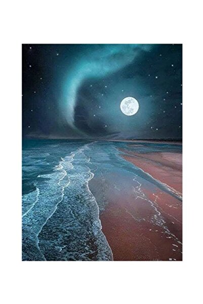 HALAMODO Blue Brown White 30x40cm 5D DIY Cross Stitch Diamond Painting